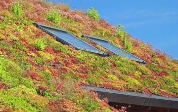 Haltwhistle living roof systems